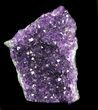 Dark Purple Amethyst Cut Base Cluster - Uruguay #36495-2